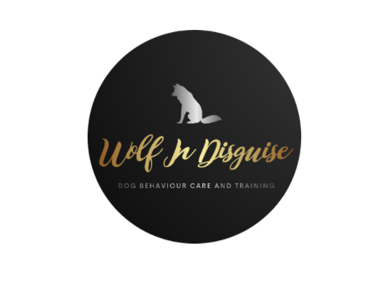 My dog psychology web design